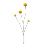 Artificial branch Craspedia RILADA, yellow, 28"/70cm