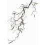 Artificial Hazelnut spray XANCHO, with catkins, brown, 26"/65cm, Ø0.2"/0.5cm