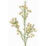 Decorative branch, wax flower FRINDALS, cream, 26"/65cm, Ø0.6"-0.8"/1.5-2cm