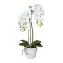 Artificial Phalaenopsis orchid LARKEN in a ceramic pot, roots, white, 45cm