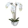 Artificial Phalaenopsis orchid LARKEN in a ceramic bowl, roots, white, 20"/50cm
