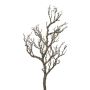 False birch branch ZURKAN, brown, 31"/80cm
