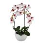 Artificial Phalaenopsis orchid INAKES, ceramic pot, roots, pink-white, 20"/50cm