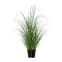 Artificial grass Zebra grass FERVA, green-yellow, 24"/60cm