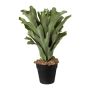 Fake plant: FROHEL staghorn fern, decorative pot, green, 18"/45cm