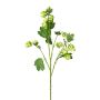 Artificial hop branch DRIHOL with flowers, green, 75 cm