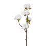 Artificial cotton branch GROVEL with fruits, white, 18"/45cm