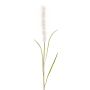 Artificial pampas grass panicle JARME, white, 3ft/100cm