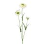 Decorative branch Scabiosa ATLENTO, white, 26"/65cm