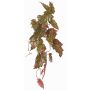 Artificial plant: Begonia palmata OANFIR, stem, hanging, pink-green, 35"/90cm
