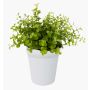 Fake eucalyptus JOSHUA, in a ceramic pot, green, 8"/20cm, Ø7"/17cm