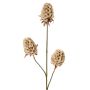 Artificial carnation branch MARDUEN, beige, 75cm, Ø5cm