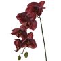 Artificial Phalaenopsis orchid LARDUEN, burgundy, 30"/75cm, Ø3.9"/10cm