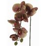 Artificial Phalaenopsis orchid LARDUEN, violet-green, 30"/75cm, Ø3.9"/10cm