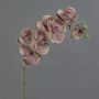 Artificial Phalaenopsis orchid LARDUEN, violet-green, 30"/75cm, Ø3.9"/10cm