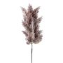 Decorative branch Pampas grass PANCHE with panicle, aubergine, 3ft/90cm