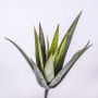 False aloe MARTINEZ, on spike, green, 12"/30cm, Ø7"/17cm