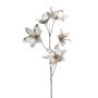 False clematis KANELA, metallic silver-gold, 30"/75cm