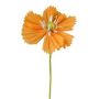 Decorative flower Cosmos WENFRIN made of paper, apricot, 18"/45cm