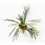 Artificial Hart's-tongue fern CHARLS, spike, green, 20"/50cm, Ø 28"/70cm