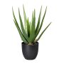Artificial succulent Aloe vera KRONFA in decorative pot, green, 18"/45cm