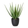 Artificial succulent Aloe vera KRONFA in decorative pot, green, 22"/55cm