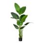 Artificial Strelitzia DREVORA, green, 160cm