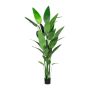 Artificial plant Canna glauca TAFRO, green, 7ft/210cm