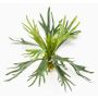 Artificial Hart's-tongue fern CHARLS, spike, green, 18"/45cm, Ø 31"/80cm