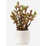 Artificial succulent Sedum reflexum NORSHO in decorative pot, green and red, 11"/27cm