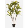 Artificial plant Cordyline MEIKE, artificial stems, decorative pot, green, 5ft/160cm