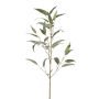 False eucalyptus branch JURKA with fruits, green-grey, 3ft/90cm