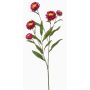 Decorative SNAVIK strawflower branch, fuchsia, 28"/70cm