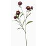 Decorative SNAVIK strawflower branch, purple, 28"/70cm