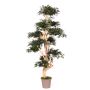 Decorative tree Japanese maple SLAWIK, real stem, green, 6ft/185cm - Made in Italy