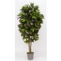 Artificial croton KAJETANA, natural stems, multicoloured, 6ft/175cm - Made in Italy