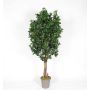 Decorative pittosporum MINIKALINA, real stems, green, crossdoor, 5ft/150cm - Made in Italy