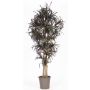 False Dracaena Marginata KIMANORA, natural stems, green-red, 6ft/175cm - Made in Italy