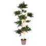 Artificial acacia tree BOHDAN with natural stem, crossdoor, green, 6ft/185cm - Made in Italy
