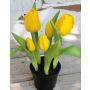 Artificial tulip CAITLYN in decorative pot, yellow-green, 10"/25cm, Ø0.8"-2.4"/2-6cm