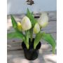 Artificial tulip CAITLYN in decorative pot, white-green, 10"/25cm, Ø0.8"-2.4"/2-6cm