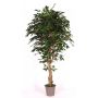 Artificial Ficus Benjamina YANEXY, natural stems, green, 6ft/175cm - Made in Italy