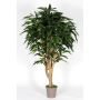Decorative longifolia RAFIKO, natural stems, green, 6ft/175cm - Made in Italy