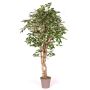 Artificial Ficus Benjamina YANEXY, natural stems, green-white, 6ft/175cm - Made in Italy