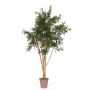 Artificial acacia ANDRIY with real stems, crossdoor, green, 5ft/150cm - Made in Italy