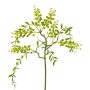 Artificial branch Mimosa KRAVEL with buds, hanging, green, 24"/60cm