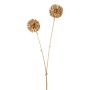 Decorative branch Allium GRALDE, gold, 22"/55cm