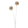 Decorative branch Allium GRALDE, champagne, 22"/55cm