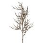 Artificial branch Christ's thorn SPROLI, brown, 28"/70cm