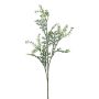 Decorative branch Silver ragwort KRANVE with flowers, grey-green, 24"/60cm